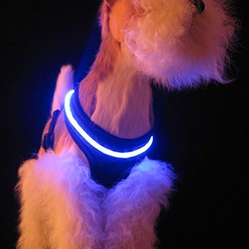 LED Air Mesh Harness