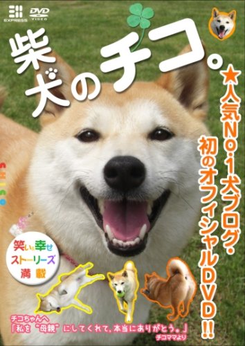 柴犬のチコ。 [DVD]