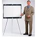 Portable Presentation System