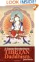 A Concise Introduction To Tibetan Buddhism