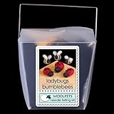 Lady Bugs and Bees Wool Needle Felting Craft Kit by WoolPets. Made in the USA.