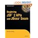 Beginning JSF 2 APIs and JBoss Seam (Expert's Voice in Java)