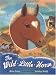 The Wild Little Horse by Rita Gray