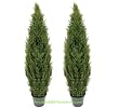 TWO Pre-Potted 5' Artificial Cedar Topiary Outdoor Indoor Tree, 3 Iris Stems Free with Purchase (retail price $23.07)