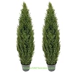 TWO Pre-Potted 5' Artificial Cedar Topiary Outdoor Indoor Tree, 3 Iris Stems Free with Purchase (retail price $23.07)