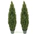 TWO Pre-Potted 5' Artificial Cedar Topiary Outdoor Indoor Tree, 3 Iris Stems Free with Purchase (retail price $23.07)