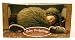 Search : Anne Geddes Baby Hedgehogs (18")