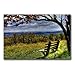 Walk Alone by CATeyes, 22x32-Inch Canvas Wall Art