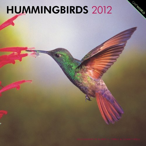 Hummingbirds 2012 Square 12X12 (Multilingual Edition)