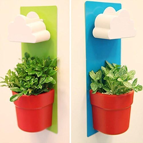 Innoda Creative Cloud-Shaped Indoor Wall Mount Rainy Pot Hanging flower Pot (Green)
