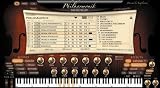 IK Multimedia Miroslav Philharmonik Orchestra Virtual Instrument Workstation - B000BWI79I