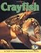 Crayfish (Early Bird Nature)