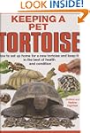 Keeping a Pet Tortoise