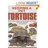 Keeping a Pet Tortoise