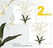 TWO 31" Dancing Oncidium Orchid Artificial Silk Flower Bushes