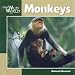 Monkeys (Our Wild World)