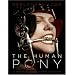 The Human Pony: a handbook for owners, trainers and admirers