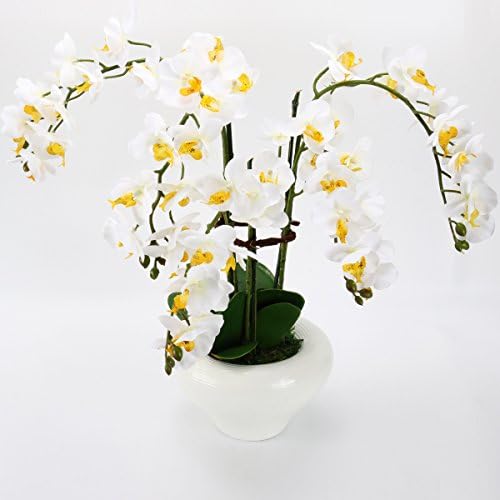 tanglinasa Artificial Flowers Silk Phalaenopsis Moth Orchid With Vase