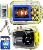 SVP Acqua DC-1231Bk 12MP Max. Digital Still Camera with waterproof case (1GB High Speed SD Card & Tripod & AAA Rechargeable Set Included)