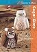 Sugar Birds (Twenty to Make)