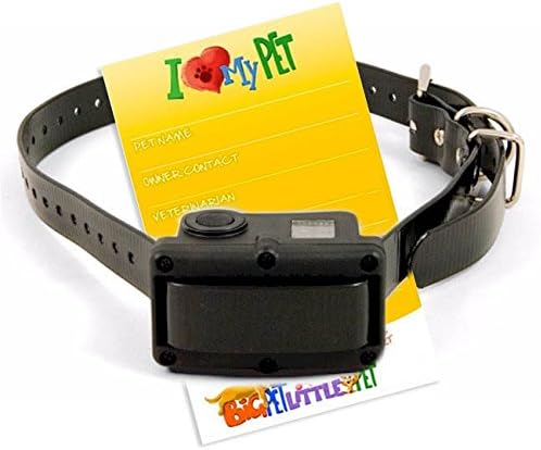 SportDOG Rechargeable NoBark 10R Bark Control Collar PLUS Pet Emergency Contact Information Magnet - VALUE BUNDLE