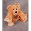 Small Bear Plush Coin Bank