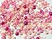 PEPPERLONELY Brand 50 Grams (Apprx 1200PC + ) Shades of Pink Mixed Size Acrylic Cabochons Flat Back Pearls