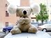 GIANT 38 STUFFED KOALA - BIG HUGE SOFT PLUSH ANIMAL * GO AUSTRALIA! * AMERICAN MADE IN THE USA AMERICA