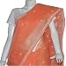 Chikan Embroidered Sari in Cotton Fabric Orange (chsari108)