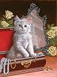 You're Home Early 1000pc Jigsaw Puzzle by Richard De Wolfe