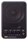 Yamaha Pro Audio - MS101III
