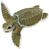 Kemp's Ridley Sea Turtle Baby by Safari LTD