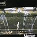 Le Nozze di Figaro (The Marriage of Figaro): Overture