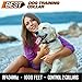 BEST Dog Training Collar with Remote