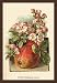 Art Poster, Apple Blossom & Fruit - 12x18