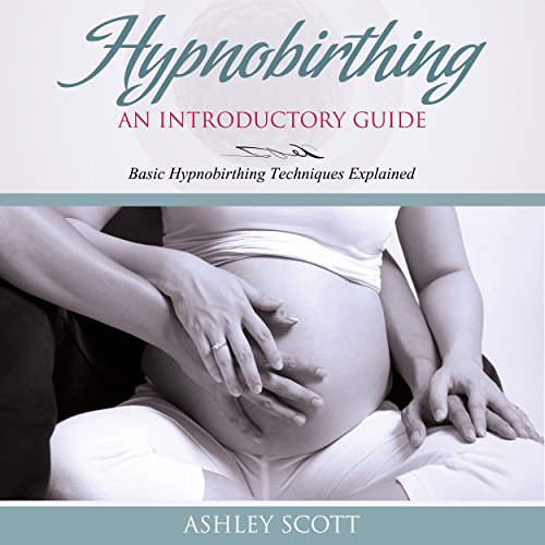 HypnoBirthing: An Introductory Guide: Basic HypnoBirthing Techniques Explained (Busy Woman's Natural Birth Series)