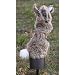 Western Rivers Deceptor Rabbit
