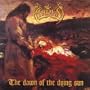The Dawn of the Dying Sun
