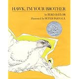 Hawk, I'm Your Brother