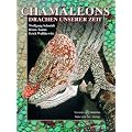 Cham�leons. Drachen unserer Zeit