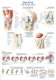 Lehrtafel Das Knie