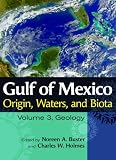 Gulf of Mexico Origin, Waters, and Biota: Volume 3, Geology (Harte Research Institute for Gulf of Mexico Studies Series)