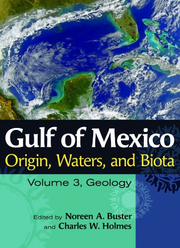 Gulf of Mexico Origin, Waters, and Biota: Volume 3, Geology (Harte Research Institute for Gulf of Mexico Studies Series) Book Image