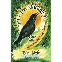 This is the Blackbird