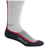 Icebreaker Merino Hiker Lite Sock (M)