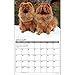 Chow Chows 2015 Wall Calendar