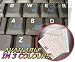 POLISH KEYBOARD STICKERS WITH BLUE LETTERING ON TRANSPARENT BACKGROUND