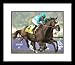 Mike Smith Zenyatta Horse Racing Framed 8x10 Photograph 2009 Breeder