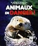 Animaux en danger !