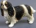 ENGLISH TOY SPANIEL, SS-6541